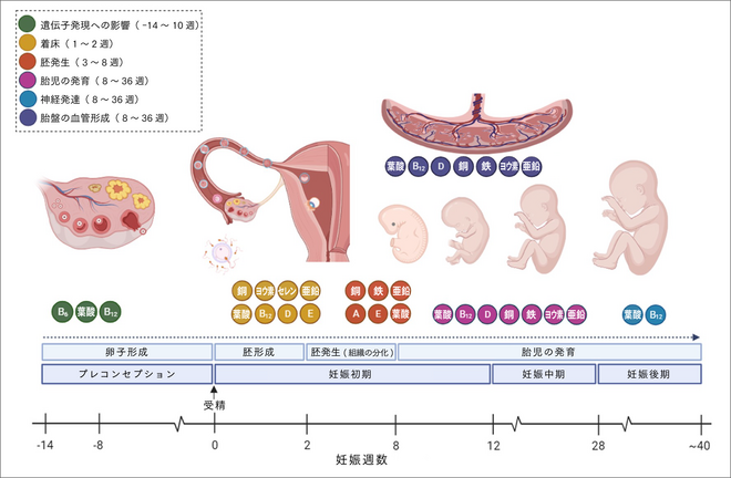 アートボード 1@2x.png